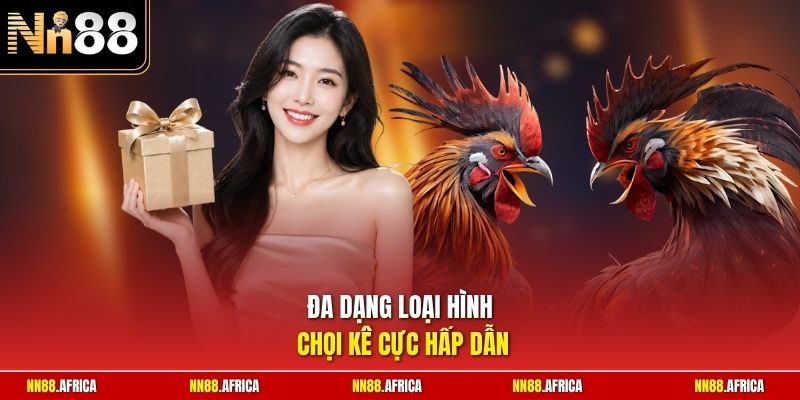 Đa dạng loại hình chọi kê cực hấp dẫn