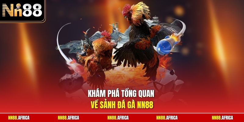Khám phá tổng quan về sảnh đá gà NN88