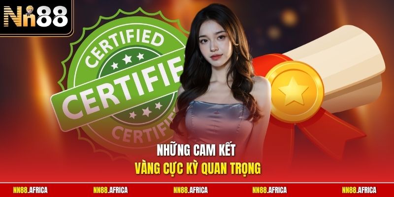 Những cam kết vàng cực kỳ quan trọng
